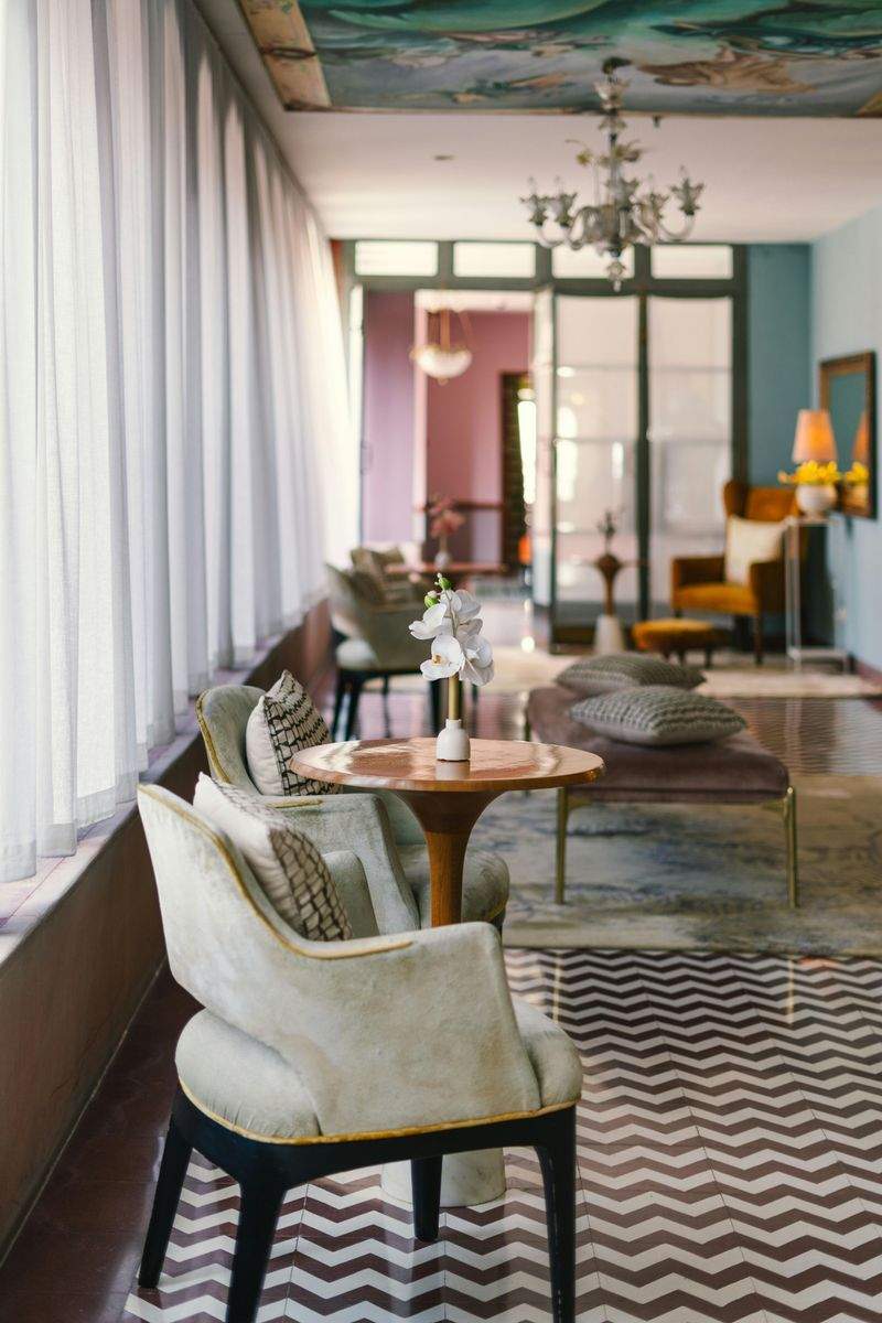 冬のペット滞在をもっと楽しくする方法